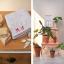 Eco Vita Book 1 - The Botanist's Cabinet