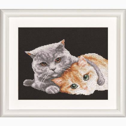 Cat Friends - Noir