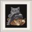 Hear no evil, See no evil, Speak no evil Cats - Noir