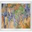 Tree Roots by Vincent van Gogh - Aida