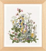 Thea's Garden Flowers - Aida