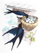 Nid d'hirondelle
