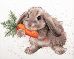 Lapin