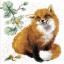 Renard
