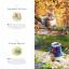 Knitting Peter Rabbit