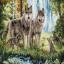 Famille de loups