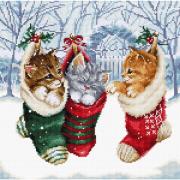 Chatons enneiges