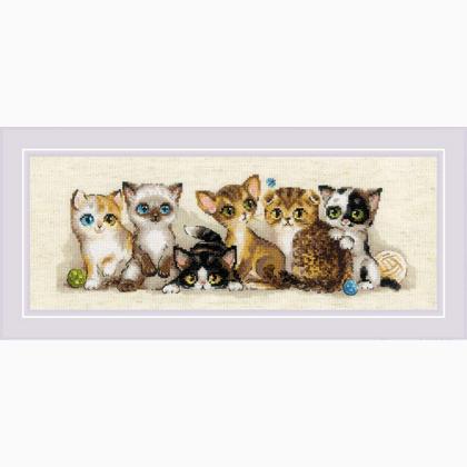 Kittens
