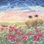 Ladybird In The Meadow