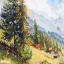 The Chamonix Valley