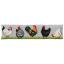 Coussin - Poullaier
