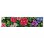 Coussin - Fleurs