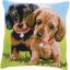 Coussin : Chiens