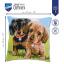 Coussin : Chiens