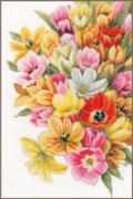 Couvre-moi de Tulipes - Aida