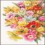 Couvre-moi de Tulipes - Aida