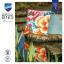 Coussin - Coquelicots