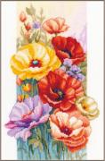 Coquelicots