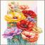 Coquelicots