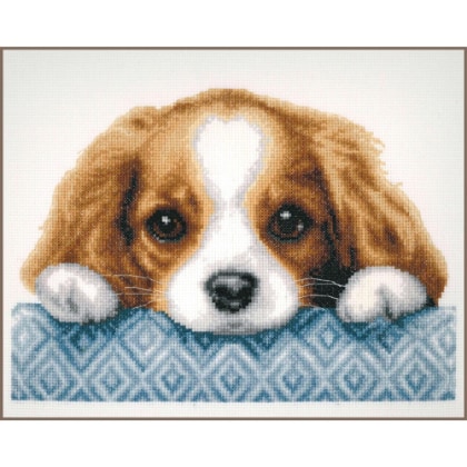 Chiot