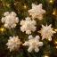 Kit Décorations en feutrine - Pearl Snowflakes