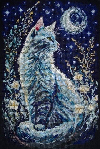 Invité De La Nuit
