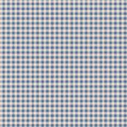 Woven Gingham Blue