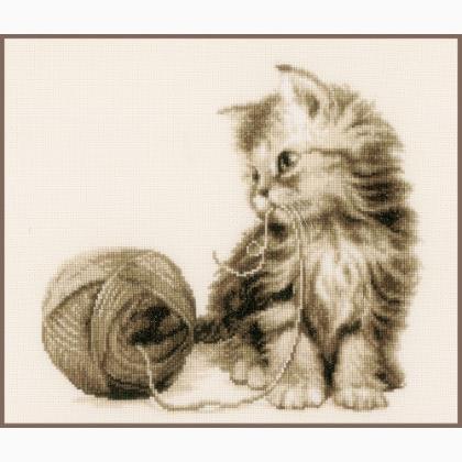 Chaton et sa Pelote de Laine
