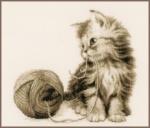 Chaton et sa Pelote de Laine