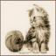 Chaton et sa Pelote de Laine