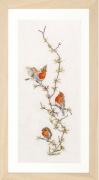 Robins