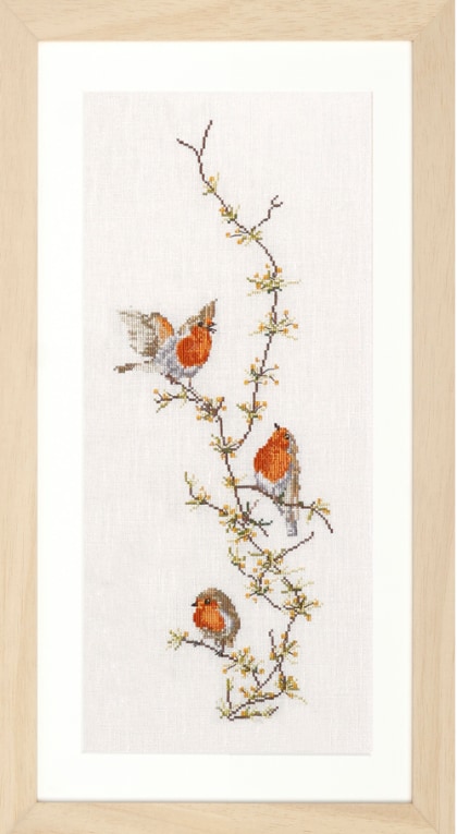 Robins - Aida