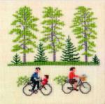 Cycling At the Parc