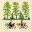 Cycling At the Parc
