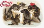 So delicious! - Vintage Collection