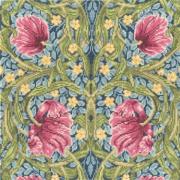Pimpernel