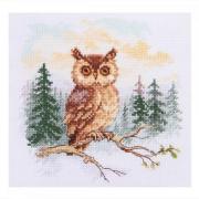 Forest Tales - Owl