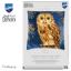 Coussin - Hibou