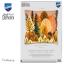 Coussin - Forêt d'automne