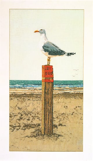 Seagull - Aida