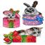 Animaux à l'intérieur des cadeaux (3)
