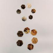 Boutons de nacre - Fleur