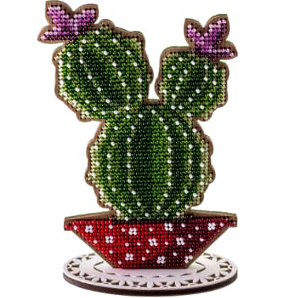Cactus colonnaires - Violet