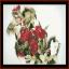 Charles Demuth - Roses