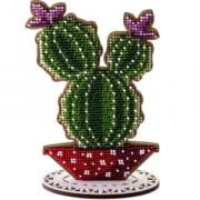 Cactus colonnaires - Violet