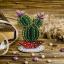 Cactus colonnaires - Violet