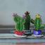 Cactus colonnaires - Violet