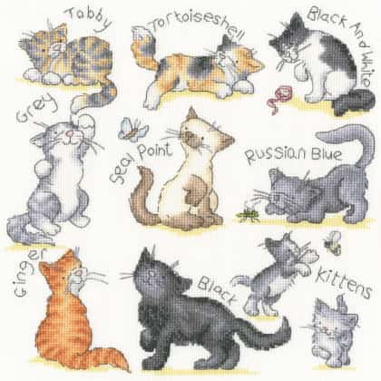 Meow !