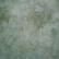 Conifer - Lin Newcastle 40 ct