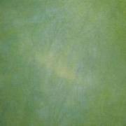 LilyPad - Lin Newcastle 40ct